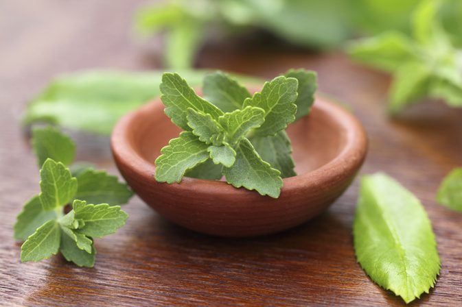 stevia et xylitol